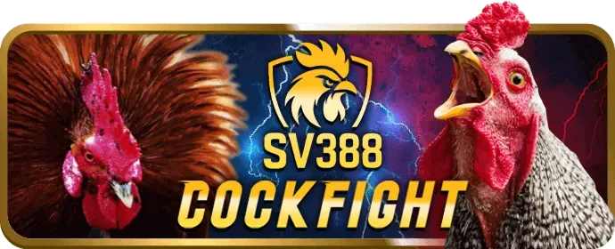Chương trình VIP độc quyền alo789vn